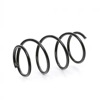 LESJOFORS Helezon Yayı Ön (4008438) - BMW / Mini