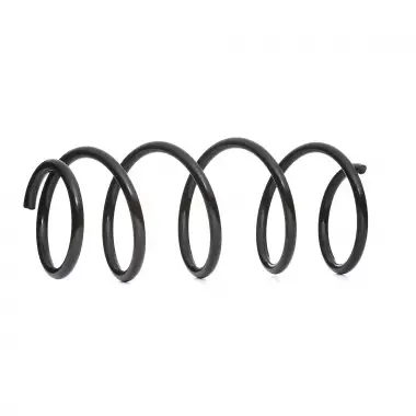 LESJOFORS Helezon Yayı Ön (4026188) - Fiat / Alfa / Lancia
