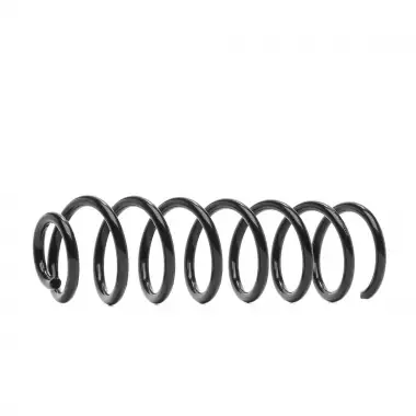 LESJOFORS Helezon Yayı Arka (4272920) - Renault / Dacia