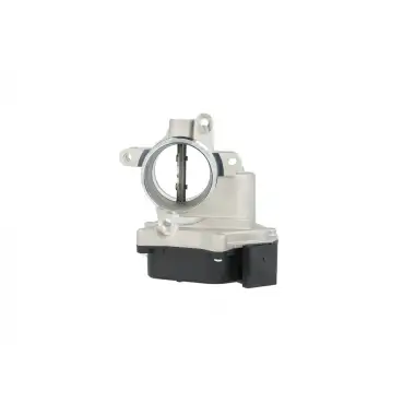 MAGNETI MARELLI Gaz Kelebeği (7.03703.67.0 / 700432) - VW Grubu (VW/Audi/Seat/Skoda) 359000602340