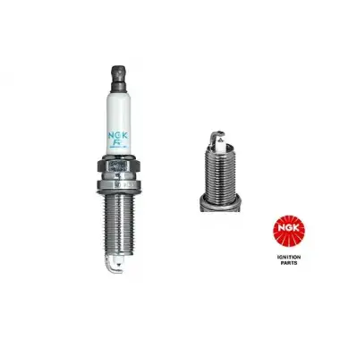 NGK Buji (Ilzfr6d11) - BMW / Mini NGK 1208