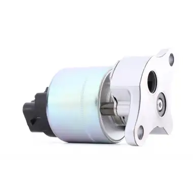 NRF EGR Valfi (NRF 48719) - Opel