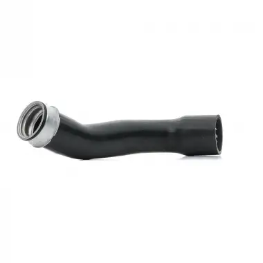 RAPRO Turbo Hortumu (R19339) - BMW / Mini