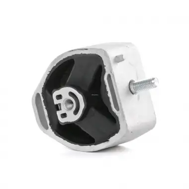 RAPRO Şanzıman Kulağı Sol (09044 / 17702 01) - VW Grubu (VW/Audi/Seat/Skoda) R54513