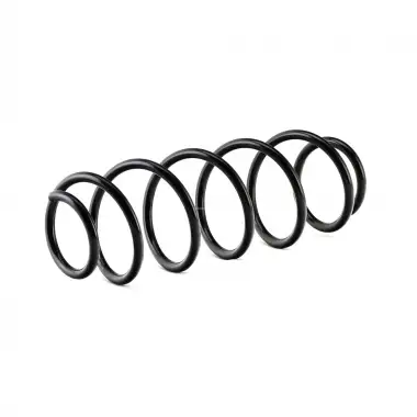 SACHS Helezon Yayı Arka (994 891) - Renault / Dacia