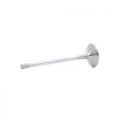 SUPAR Supap Takımı (SUP 5886p - SUP 5887p) - Opel SUP 104715116