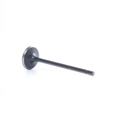 SUPAR Supap Takımı (Tek Tırnak F4R) - Renault / Dacia SUP 105332116