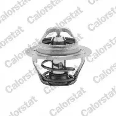 VERNET Termostat (89 °C) (VRN TH6047.89J) - Renault / Dacia