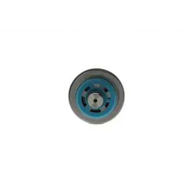 BOSCH Enjektör Basınç Valfi (F000DR0219) - Ford