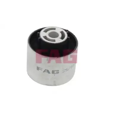 FAG Dingil Burcu Arka (38620 01) - VW Grubu (VW/Audi/Seat/Skoda) 829 0348 10