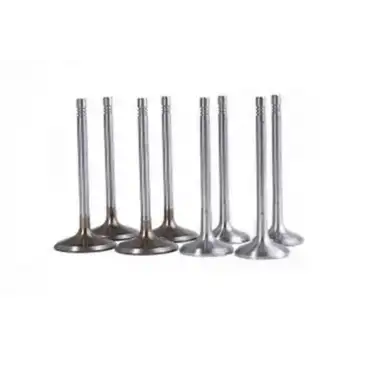 GUNES Supap Takımı (GS 2476-2477) - Fiat / Alfa / Lancia