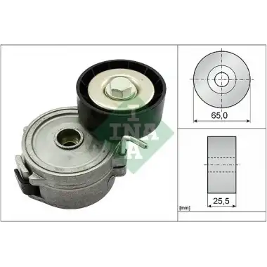 INA V Kayış Gergi Rulmanı (534 0068 10) - BMW / Mini