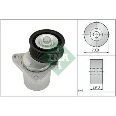 INA V Kayış Gergisi Komple (534 0128 20) - Ford