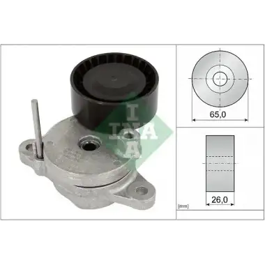 INA V Kayış Gergisi Komple (534 0795 10) - Peugeot / Citroën / DS