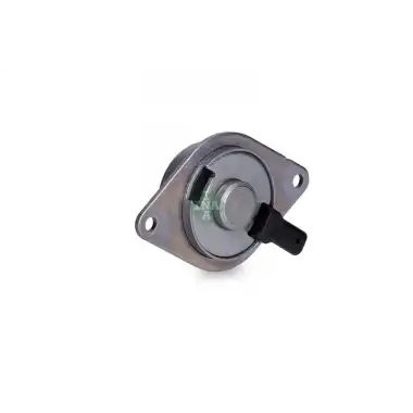 INA Eksantrik Valfi (427 0018 10) - Opel