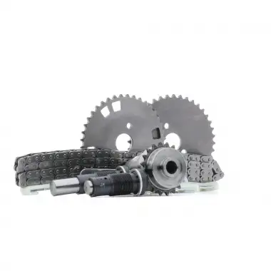 BORGWARNER Eksantrik Zincir Seti (8 Parça) - Fiat / Alfa / Lancia BRW 59007150002