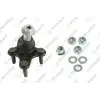 TEKNOROT Rotil Alt Sağ (31486 / 29999 02) - VW Grubu (VW/Audi/Seat/Skoda) V-655K