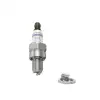 BOSCH Buji (0242035503)