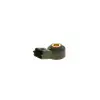 BOSCH Vuruntu Sensörü (0261231148) - VW Grubu (VW/Audi/Seat/Skoda)