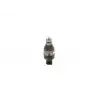 BOSCH Enjektör Basınç Valfi (0281006074) - VW Grubu (VW/Audi/Seat/Skoda)