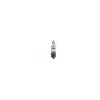 BOSCH Enjektör (0445120161) - Ağır Vasıta