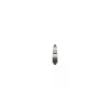 BOSCH Enjektör (Kütüğü) (0445120217) - Ağır Vasıta