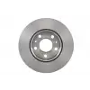 BOSCH Fren Diski Ön (300 MM Adet Fiyatıdır (Kutu İçi 2adet)) - Fiat / Alfa / Lancia 0986479315