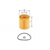 BOSCH Yağ Filtresi (Lf0114302/l32114302) - Ford 1457429257