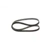 BOSCH V Kayışı ((6PK 1230)) - Peugeot / Citroën / DS 1987947885