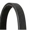 CONTITECH V Kayışı (6DPK 1825) - Volvo
