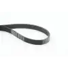 CONTITECH V Kayışı (6PK 1750/9458411/9189229/074145933ar) - Ford