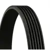 CONTITECH V Kayışı (6PK 875) - Peugeot / Citroën / DS