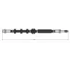 CAVO Fren Hortumu Arka (30796) - VW Grubu (VW/Audi/Seat/Skoda) CAVO C900 655A