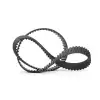 CONTITECH Triger Kayışı (123 Dış) - Kore Araçları (Hyundai/Kia) CT 1099