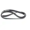 DAYCO V Kayışı (97186395/1682006/88wx6c301e1b/ Jx6g 6c301 AA) - Ford 6PK1250