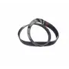 DAYCO V Kayışı (6PK850) - Peugeot / Citroën / DS