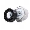DAYCO V Kayış Gergi Rulmanı (5751a7/1611424380/96505424/30684427) - Ford APV1114