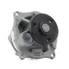 DAYCO Devirdaim (Me988x 8591 F1d/1517732) - Ford DP301