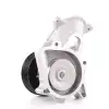 DAYCO Devirdaim (DP326) - BMW / Mini