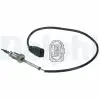 DELPHI Egzoz Sıcaklık Sensörü (Katalitik Konvektör Öncesi) - VW Grubu (VW/Audi/Seat/Skoda) DEL TS30039