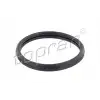 ELRING Oring (O Ring:termostat) - Ford 025.870