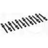 ELRING Silindir Kapak Saplaması (Takım (12 Adet)) - VW Grubu (VW/Audi/Seat/Skoda) 819.875
