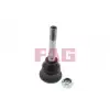 FAG Rotil Uzun - BMW / Mini 825 0046 10
