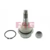 FAG Rotil Üst - VW Grubu (VW/Audi/Seat/Skoda) 825 0147 10