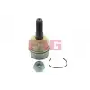 FAG Rotil Üst (Sag/sol / 10577 / 10155 03) - VW Grubu (VW/Audi/Seat/Skoda) 825 0354 10