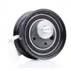 GMB Eksantrik Gergi Rulmanı (531 0499 20) - VW Grubu (VW/Audi/Seat/Skoda) GMB GT60660