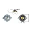 GATES Radyatör Yedek Su Depo Kapağı (RC125) - Mercedes-Benz