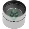 INA Supap Itici (420 0049 10) - BMW / Mini