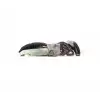 IWIS Eksantrik Zincir Seti (IWS 90001368) - BMW / Mini