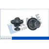 KALE Termostat (572455) - Peugeot / Citroën / DS